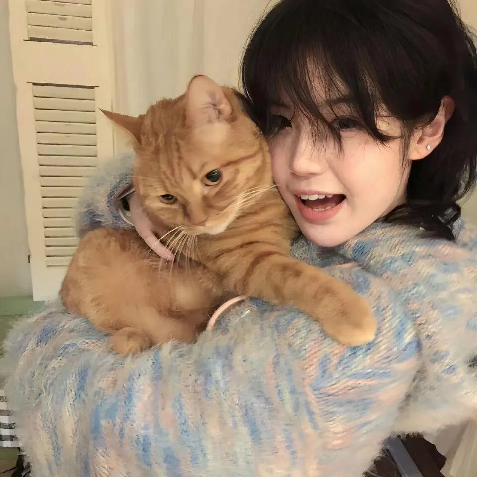 姐姐好饿剧场版之御厨大作战